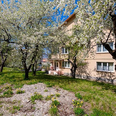 Casa Cu Cires Brasov Διαμέρισμα Εξωτερικό φωτογραφία