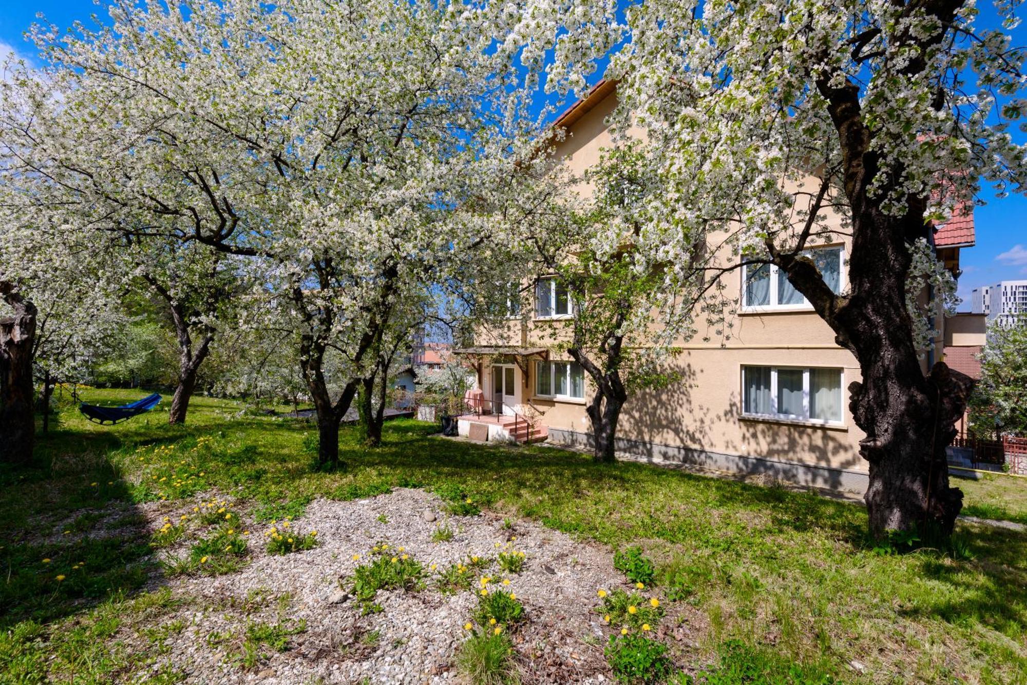 Casa Cu Cires Brasov Διαμέρισμα Εξωτερικό φωτογραφία
