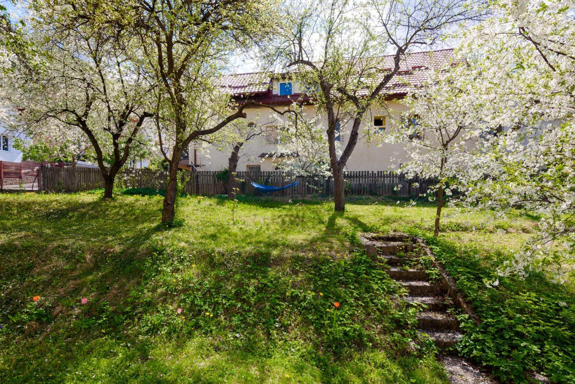 Casa Cu Cires Brasov Διαμέρισμα Εξωτερικό φωτογραφία