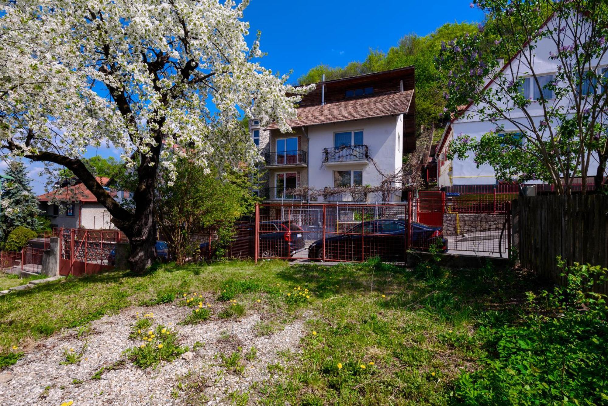 Casa Cu Cires Brasov Διαμέρισμα Εξωτερικό φωτογραφία