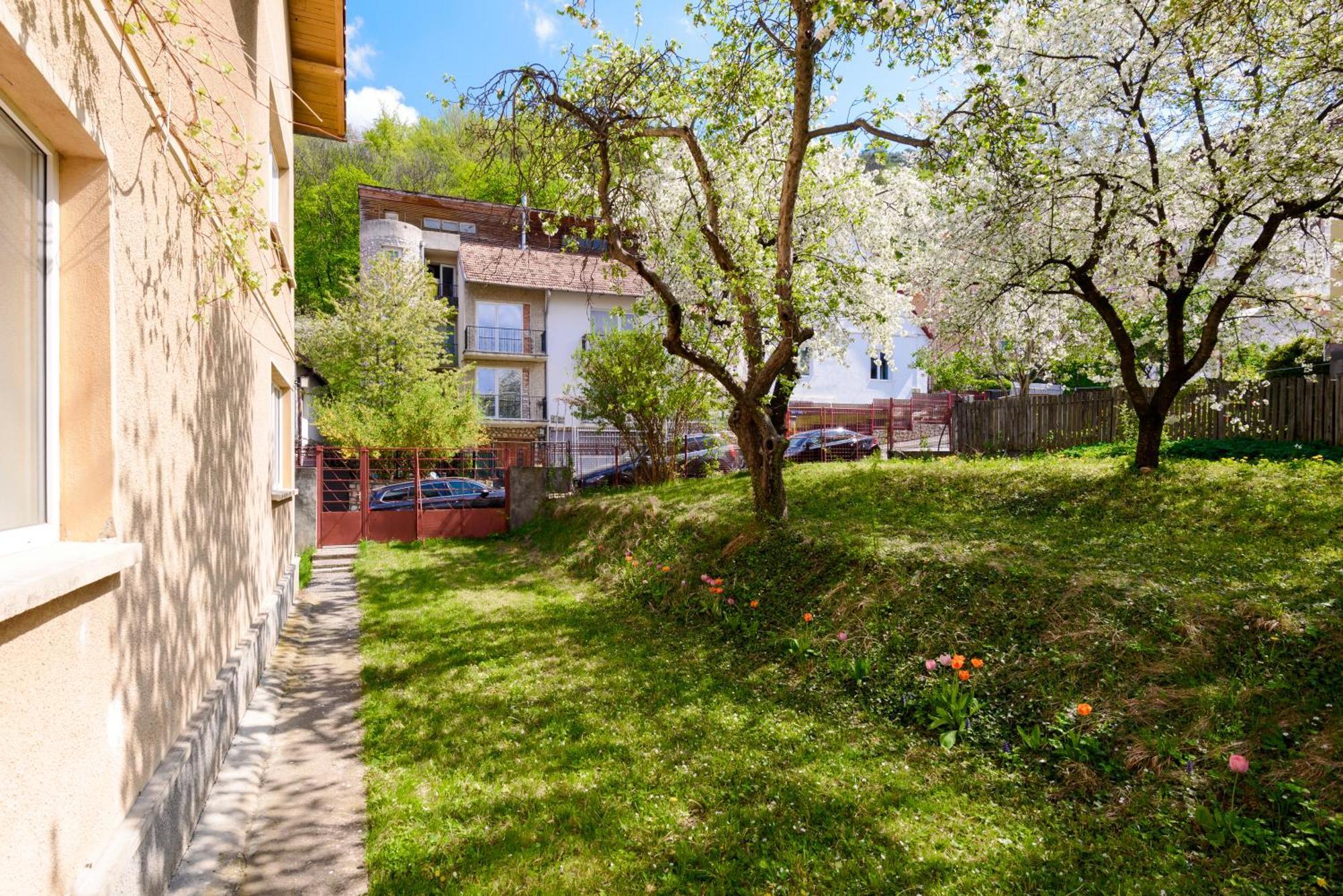Casa Cu Cires Brasov Διαμέρισμα Εξωτερικό φωτογραφία