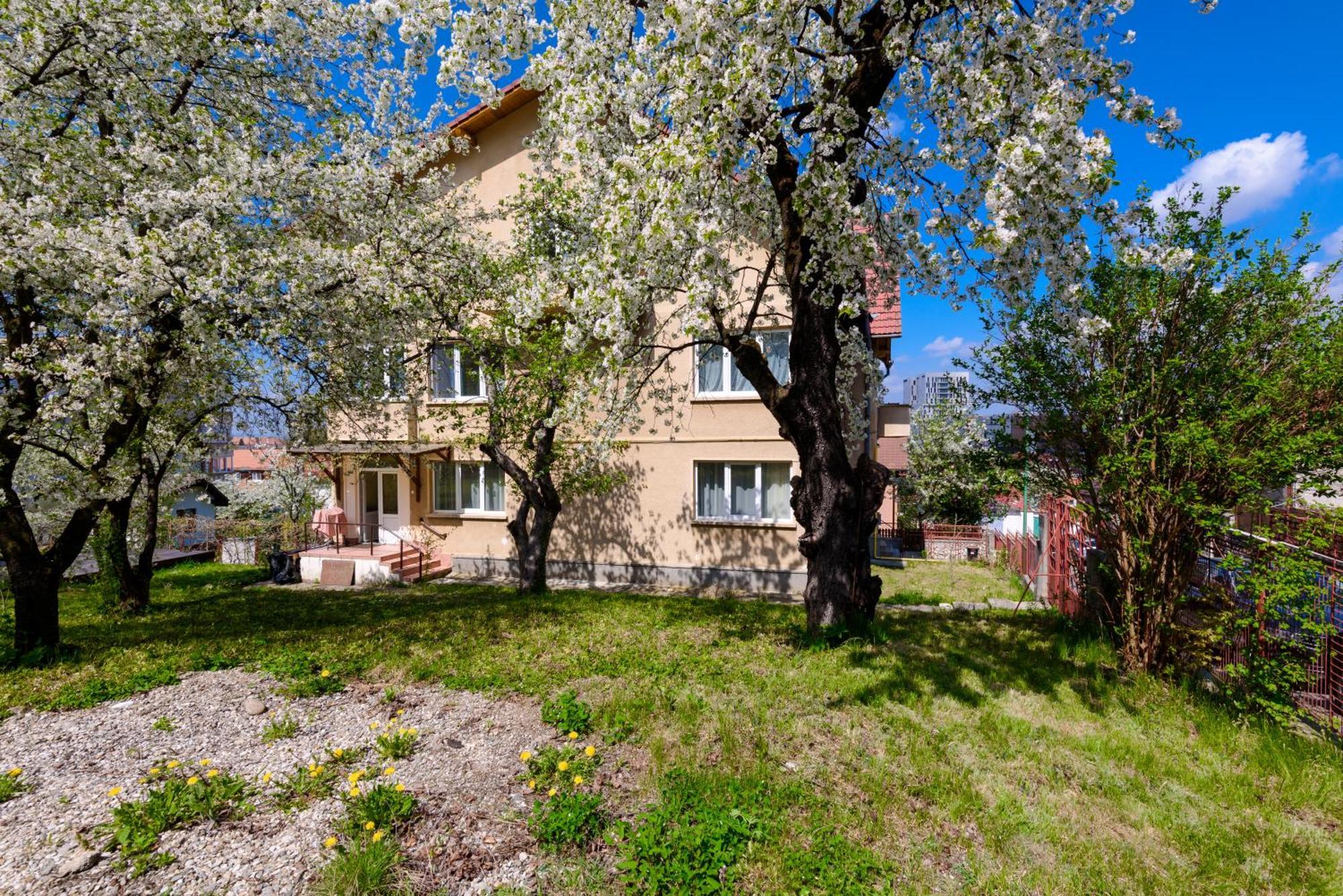 Casa Cu Cires Brasov Διαμέρισμα Εξωτερικό φωτογραφία